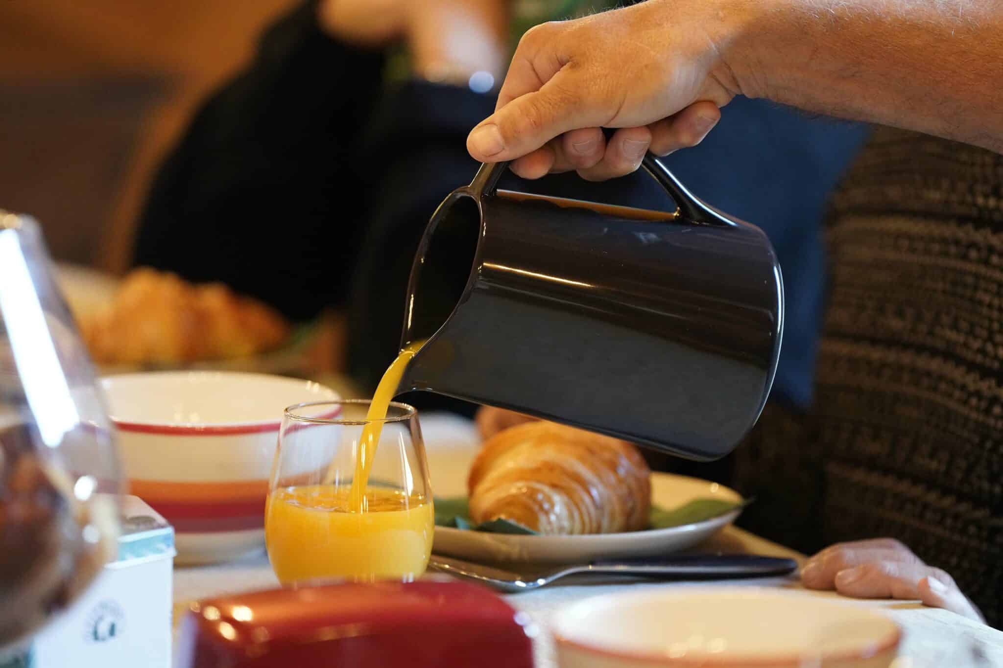 Les Nids du Château Gites Chambres d'Hotes Cabane Piscine Saône-et-Loire 71 Bourgogne Logement Petit dejeuner Table d'Hotes repas conviviable (14)